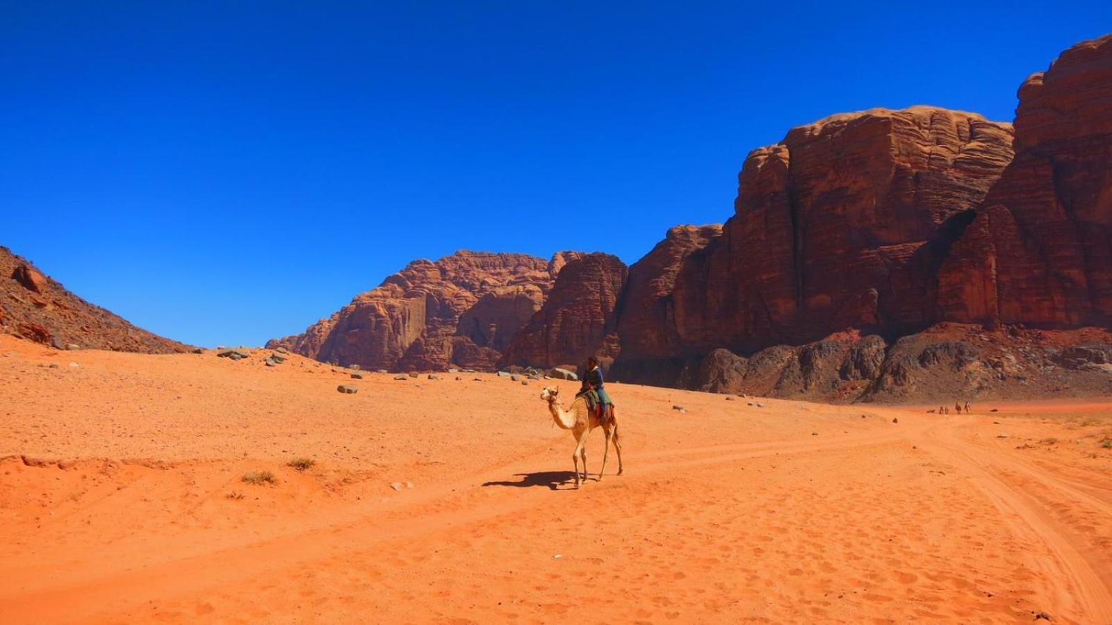 Wadi Rum Magic Nature Camp Екстер'єр фото