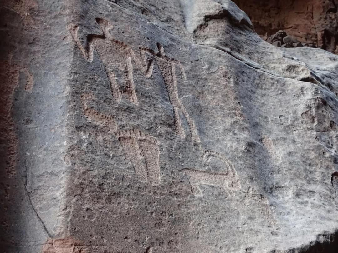 Wadi Rum Magic Nature Camp Екстер'єр фото