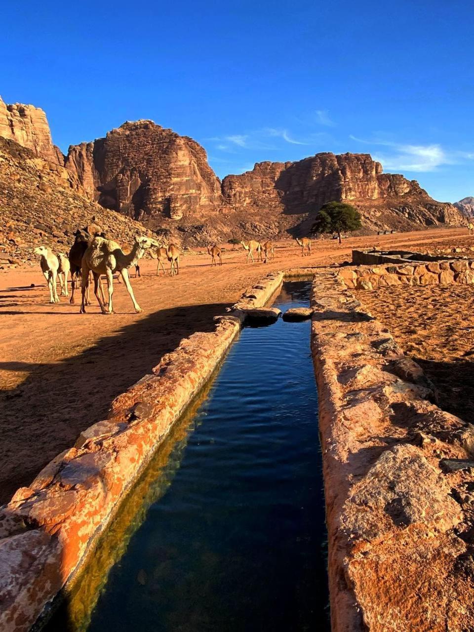 Wadi Rum Magic Nature Camp Екстер'єр фото